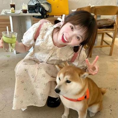 你是我老板